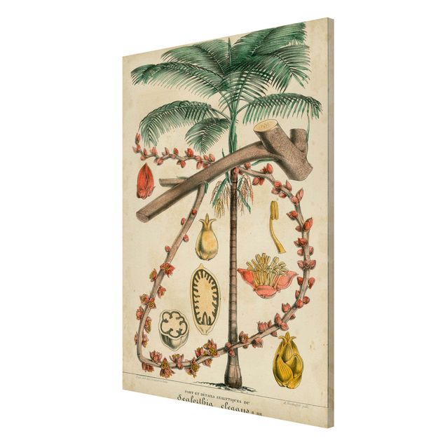 Magnettavler blomster Vintage Board Exotic Palms II