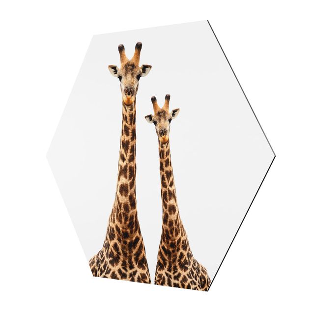 Sekskantede billeder Portait Of Two Giraffes