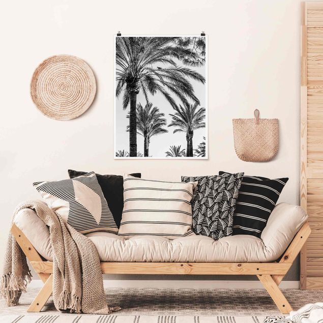 Plakater blomster Palm Trees At Sunset Black And White