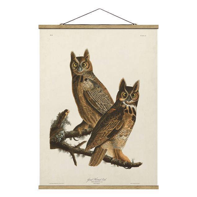 Billeder dyr Vintage Board Two Large Owls