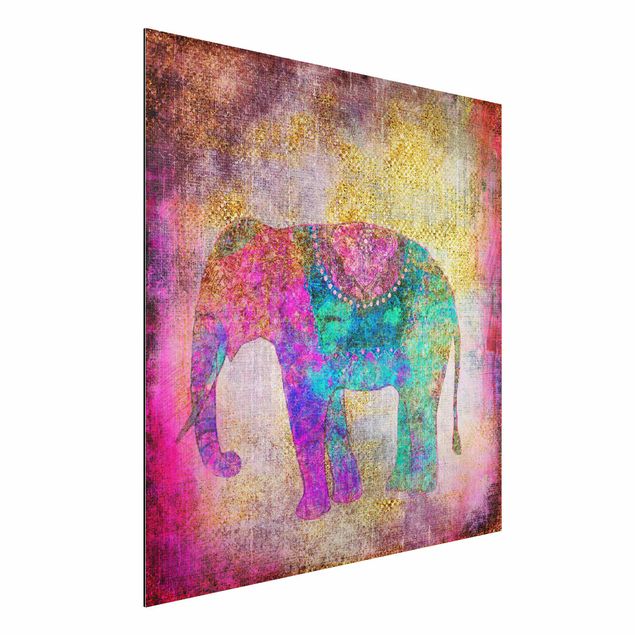køkken dekorationer Colourful Collage - Indian Elephant