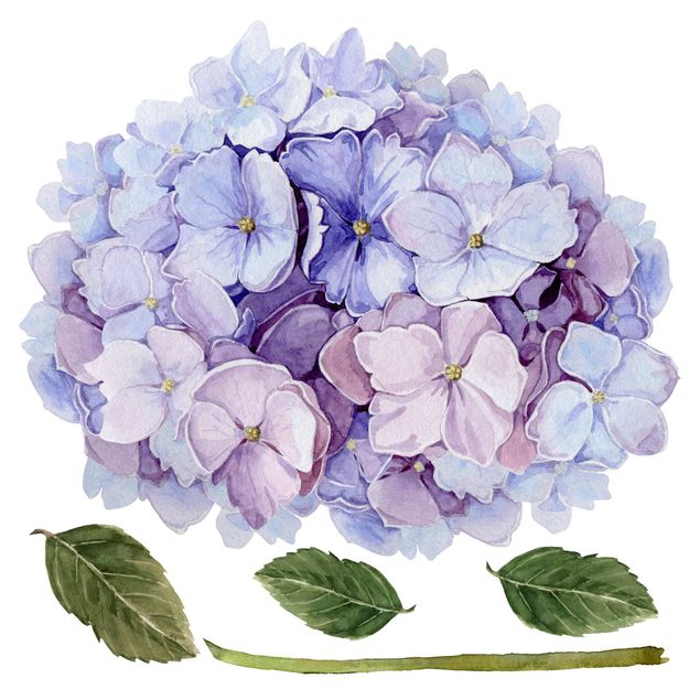 Wallstickers Watercolour Hydrangea Blue Bloom XXL