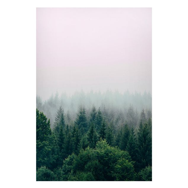 Billeder træer Foggy Forest Twilight