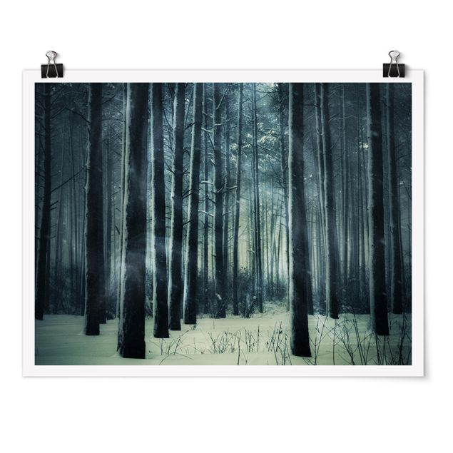 Billeder 3D Mystical Winter Forest