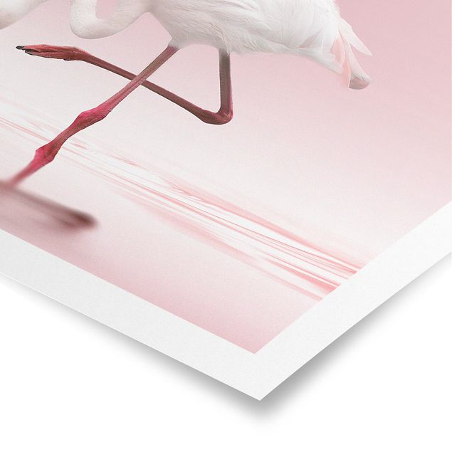 Billeder lyserød Flamingo Dance