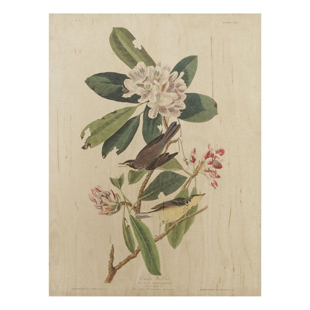 Prints på træ blomster Vintage Board Warbler