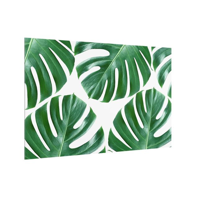 Stænkplader glas mønstre Tropical Green Leaves Monstera