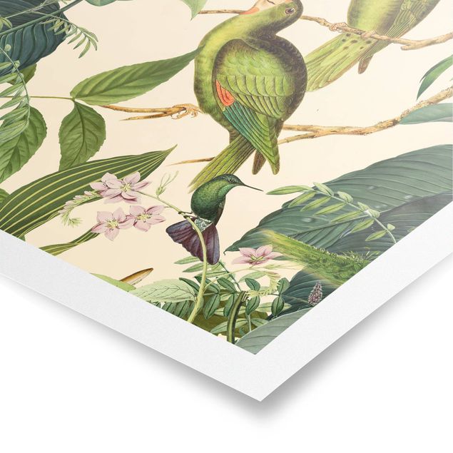 Plakater kunsttryk Vintage Collage - Parrots In The Jungle