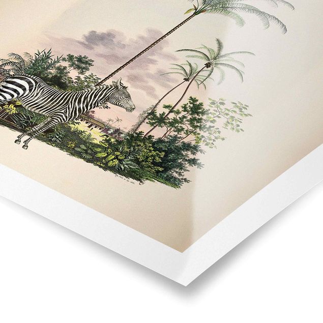 Plakater vintage Zebra Front Of Palm Trees Illustration