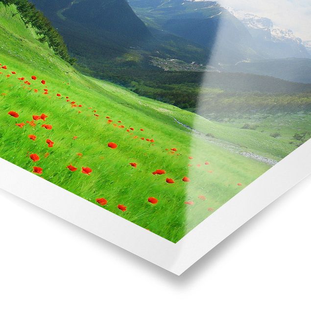 Plakater blomster Alpine Meadow
