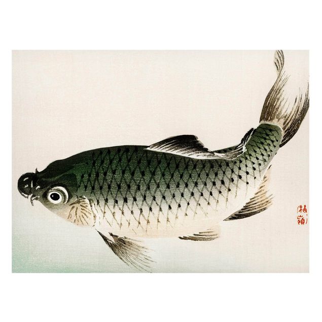 Billeder fisk Asian Vintage Drawing Carp