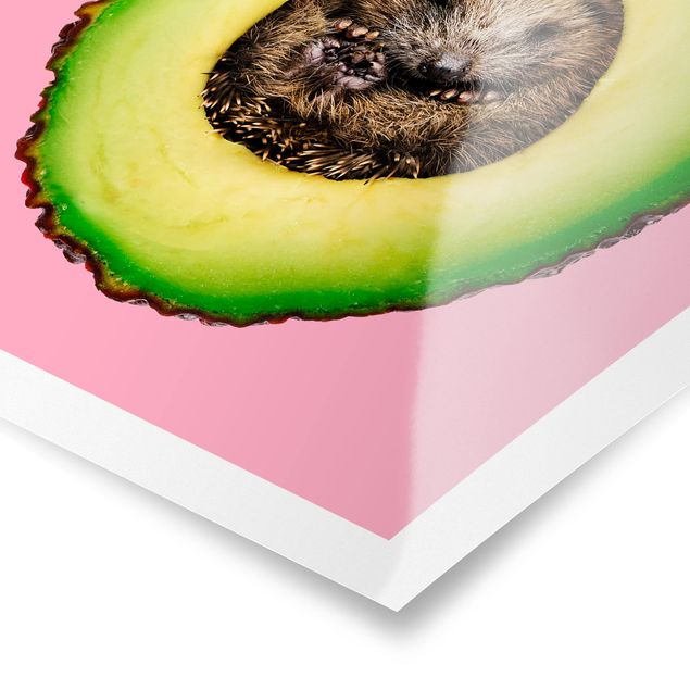 Billeder Jonas Loose Avocado With Hedgehog