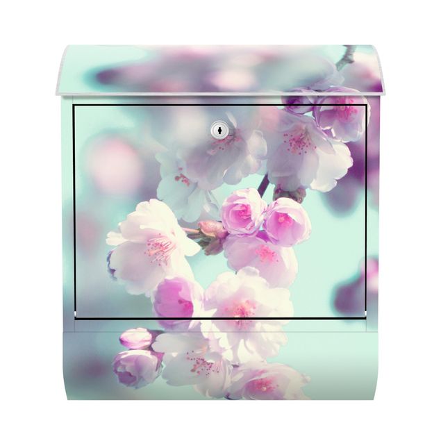 Postkasser lyserød Colourful Cherry Blossoms