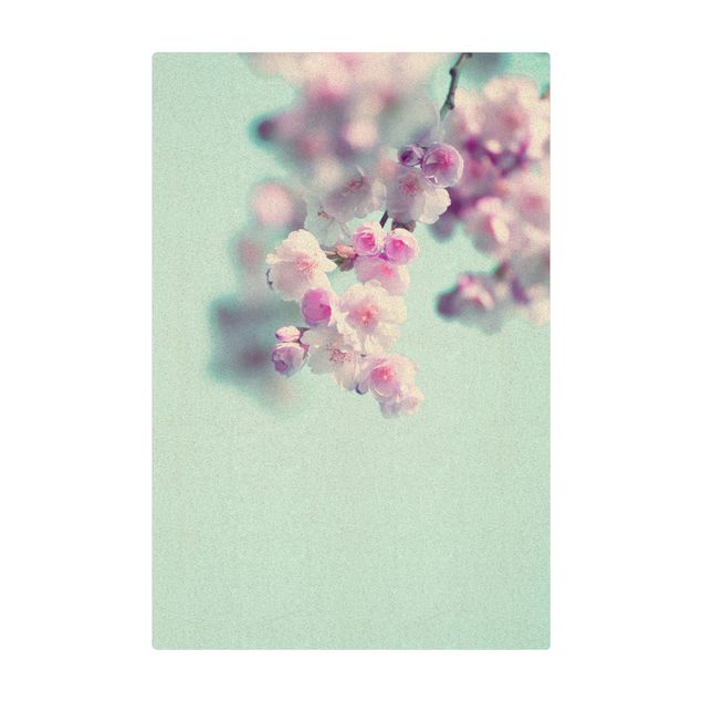 Billeder Monika Strigel Colourful Cherry Blossoms