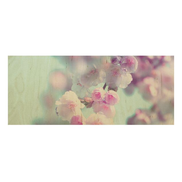 Prints på træ blomster Colourful Cherry Blossoms