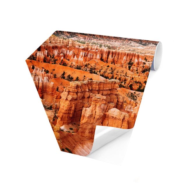 Fototapet orange Blaze Of Colour Of The Grand Canyon