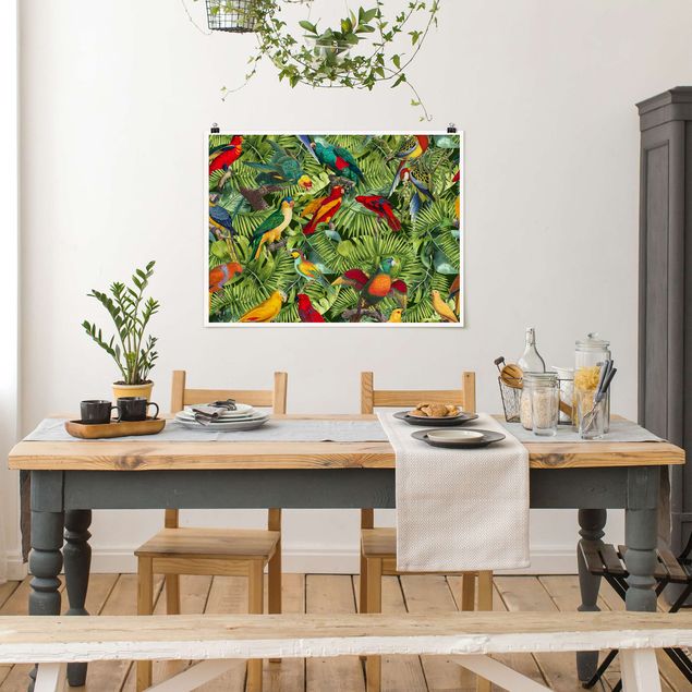 Plakater blomster Colourful Collage - Parrots In The Jungle