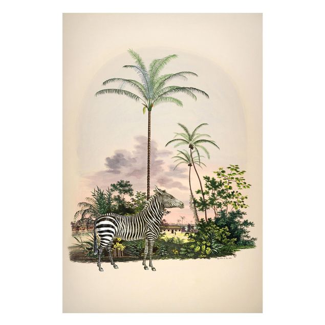 Billeder zebraer Zebra Front Of Palm Trees Illustration