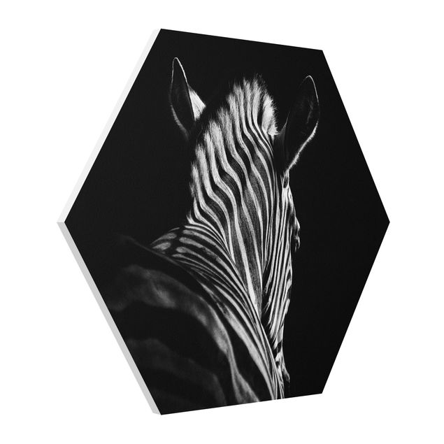 Billeder dyr Dark Zebra Silhouette