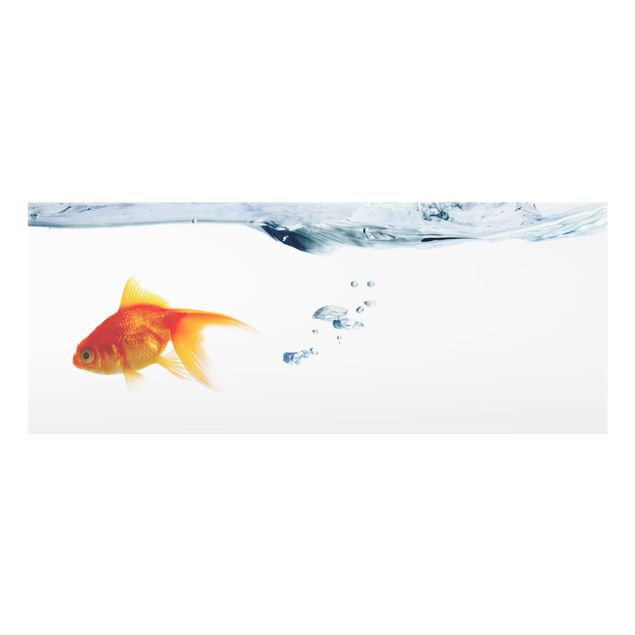 Kunsttryk Goldfish