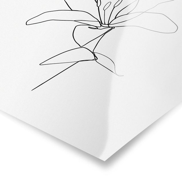 Billeder sort og hvid Line Art Flower Black White