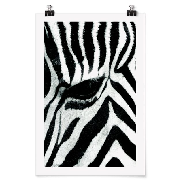 Plakater dyr Zebra Crossing No.3