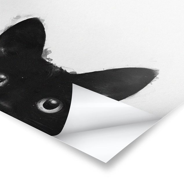 Billeder sort og hvid Illustration Black Cat On White Painting