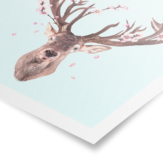 Billeder blomster Deer With Cherry Blossoms