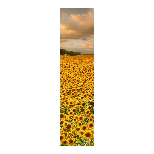 Panelgardiner blomster Field With Sunflowers