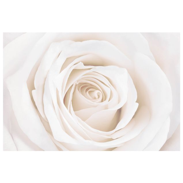 Vinduesklistermærker blomster Pretty White Rose