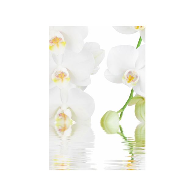 Vinduesklistermærker blomster Spa Orchid - White Orchid
