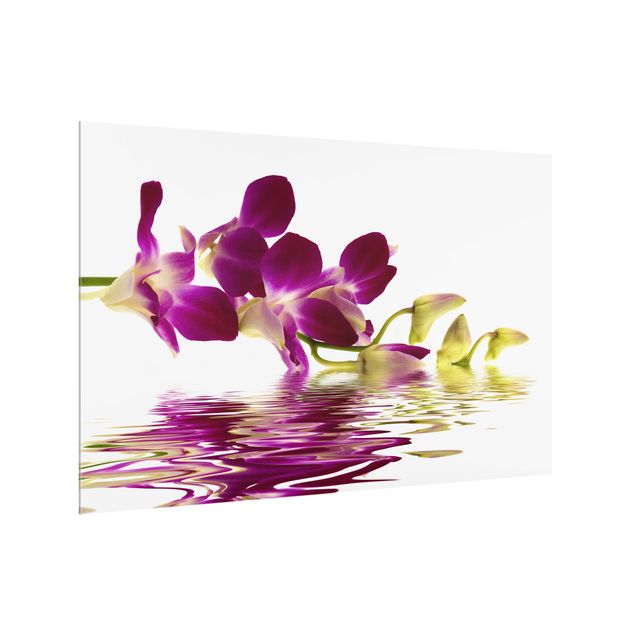 Stænkplader glas Pink Orchid Waters