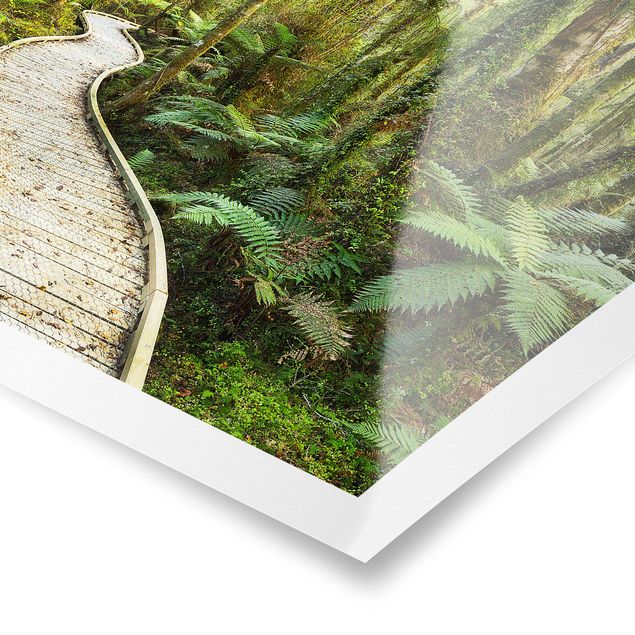 Plakater landskaber Path In The Jungle