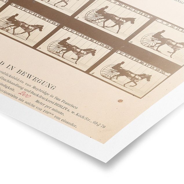 Plakater vintage Eadweard Muybridge - The horse in Motion