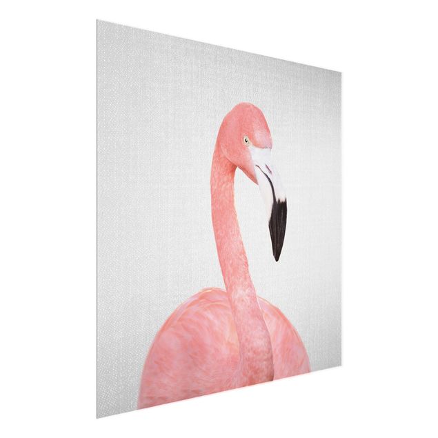 Glasbilleder dyr Flamingo Fabian