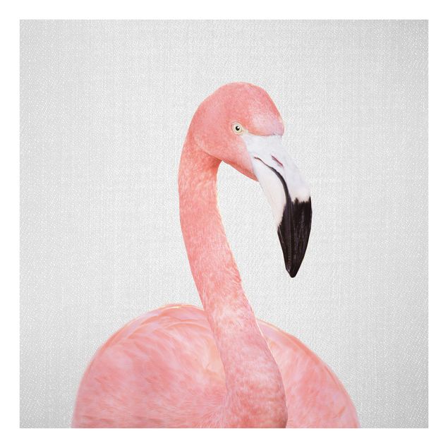 Billeder sort og hvid Flamingo Fabian