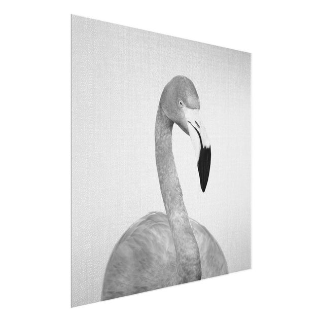 Glasbilleder dyr Flamingo Fabian Black And White