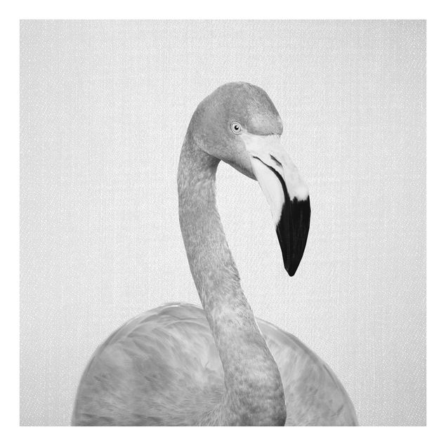 Billeder sort og hvid Flamingo Fabian Black And White