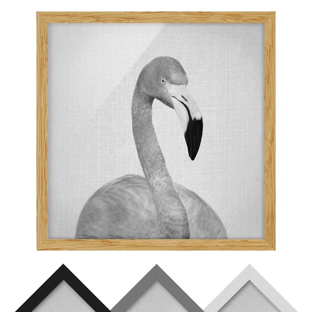 Billeder Gal Design Flamingo Fabian Black And White