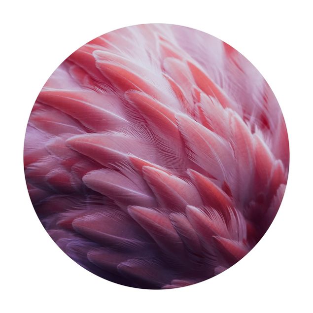 Tæpper natur Flamingo Feathers Close-Up