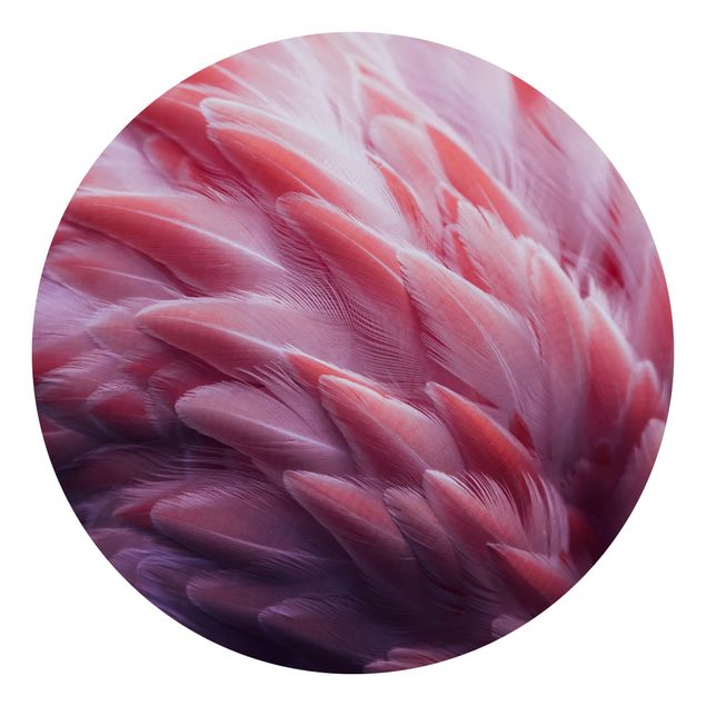 Fototapet blomster Flamingo Feathers Close-Up