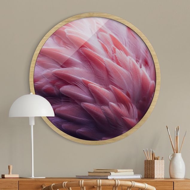 Indrammede plakater blomster Flamingo Feathers Close-Up