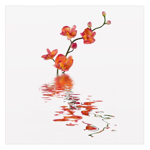 Vinduesklistermærke - Flamy Orchid Waters