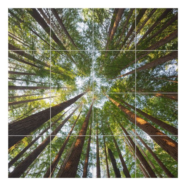 Flise klistermærker grøn Sequoia Tree Tops