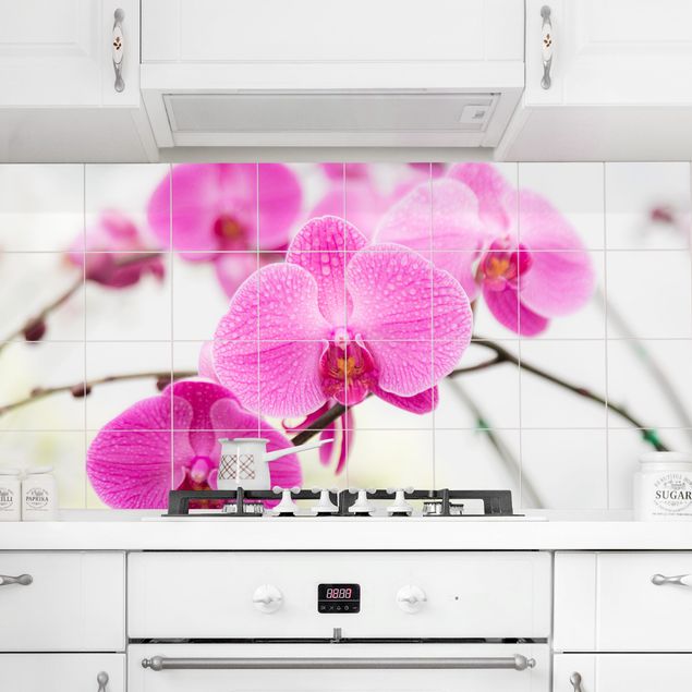 køkken dekorationer Tile Mural Close-up of orchid