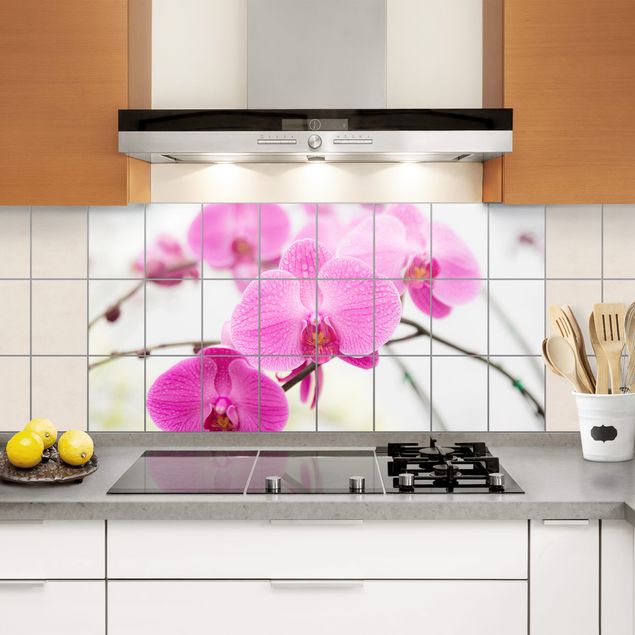 Flise klistermærker Tile Mural Close-up of orchid