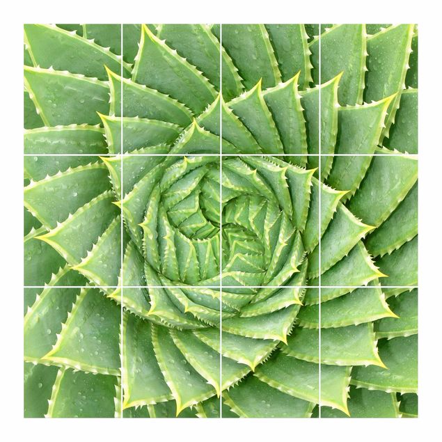 Fliesenbild - Spiral Aloe