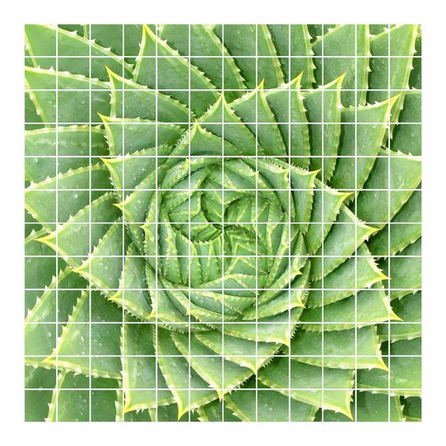 Fliesenbild - Spiral Aloe
