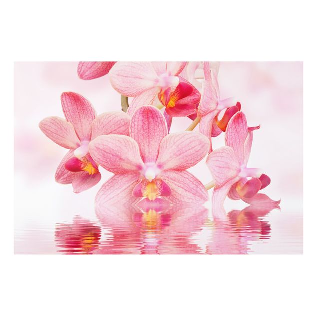 køkken dekorationer Light Pink Orchid On Water