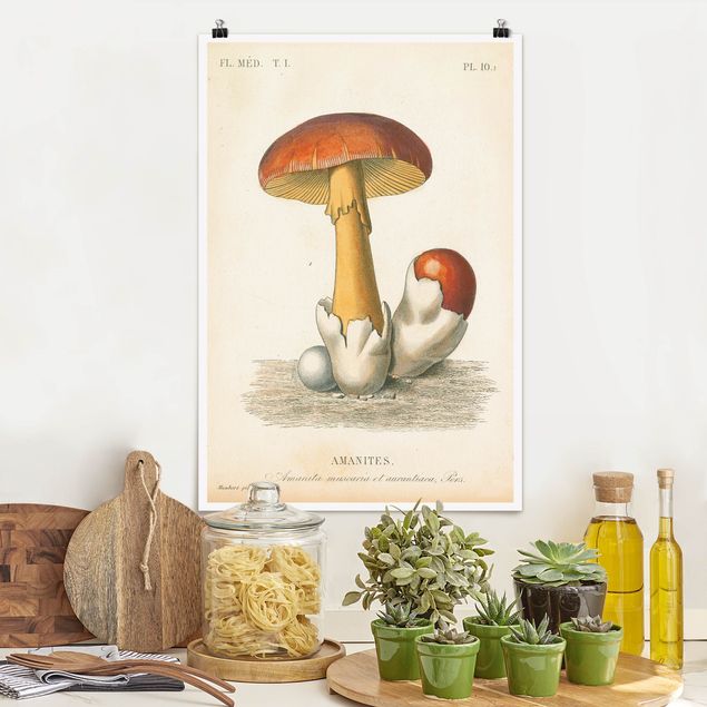 køkken dekorationer French Mushrooms